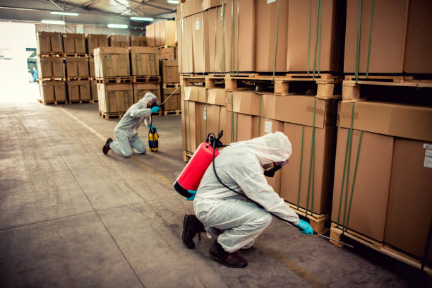 Best Cockroach Control Services  in Phoenix, AZ