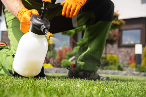 Trusted Phoenix, AZ Pest Control Experts