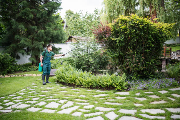 Best Affordable Exterminators  in Phoenix, AZ