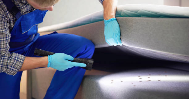 Best Pest Prevention Services  in Phoenix, AZ
