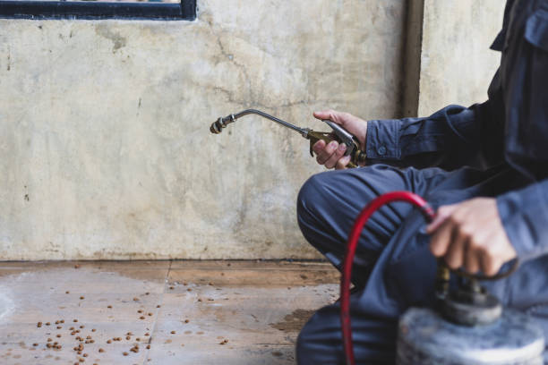Best Wasp Removal Services  in Phoenix, AZ